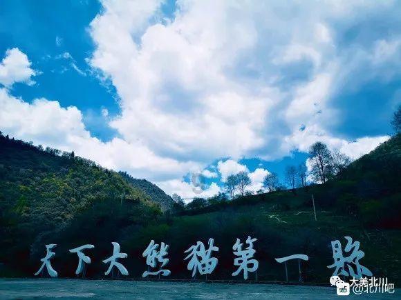 蓝色小球入袋选关版