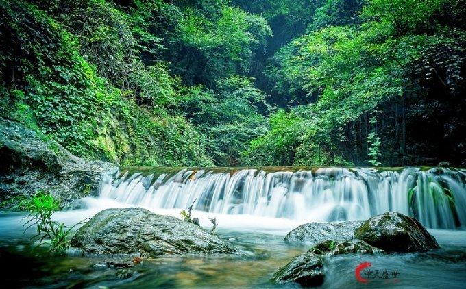 手机验证码成骚扰手机用户的“帮凶”,一天遭百条短信“轰炸”