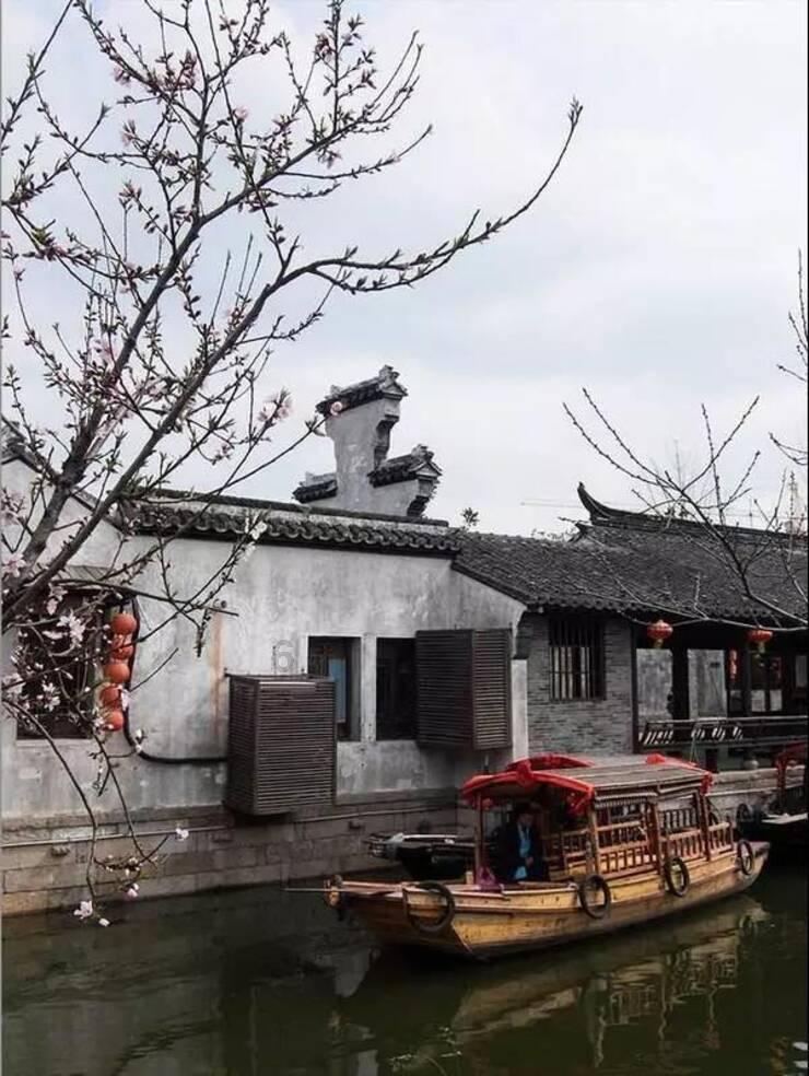探索父母强烈反对的工作该坚持吗?——知识问答网页